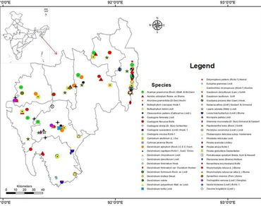 Study of orchids (Orchidaceae) distribution and richness for conservation implications in Tripura, North East India 
