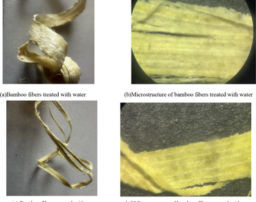 The structural and performance characterization of bamboo fibers treated with calcium hydroxide solution 