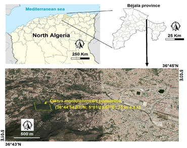 Germination characteristics, Mediterranean basin, Metal tolerance, Seedling growth, Soil restoration