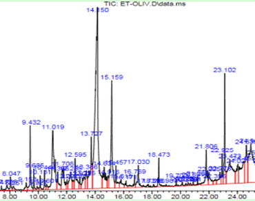 n                     Olea europaea var. rougetten                  , Antifungal, Tannins, n                     Aspergillusn                  , Germination inhibition, Chromatography