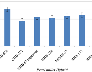 An assessment of pearl millet hybrids for drought tolerance under hyper arid conditions 