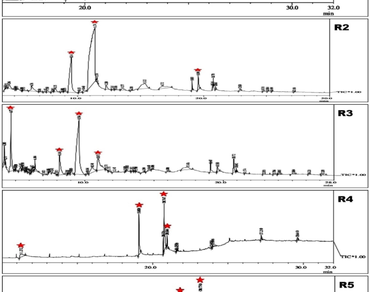 n                     Apisn                  , GCMS, Honey, Prayagraj, Volatile organic compounds