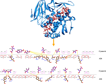 Monkeypox virus, Envelope proteins, Cyanovirin, Molecular docking, Molecular dynamics simulations