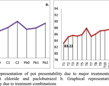 Plant architecture manipulation and growth retardants influencing the Pot presentability of China aster (Callistephus chinensis L. Nees) 