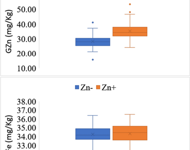 Response of elite biofortified wheat genotypes for grain zinc and iron concentration with and without zinc application 