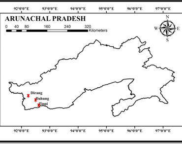 Lichen hosts, Endolichenic fungi, Diversity analyses, Antimicrobial activity, n                     Trichoderman