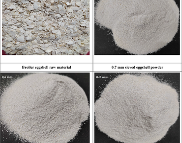 Eggshell, Sieve, Fertilizer, Plant, Soil, Vermicompost