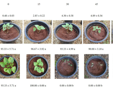 Abiotic stress, Climate change, Grain quality, Legume, Soil salinity