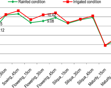 Morpho-physiological studies and selection criteria in Indian mustard (Brassica juncea L.) under rainfed condition
