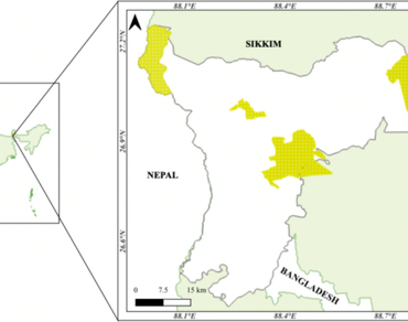 n                     Codonopsis affinisn                  , Climate Change, Endemic, Himalaya, MaxEnt