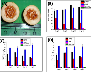 Genetic diversity, Morphometry, n                     Solanum viarumn                  , Populations, North-East India