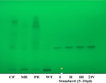 HPTLC, Quercetin, Inhibitory activity, Plasmepsin-II, Molecular docking, MD simulation
