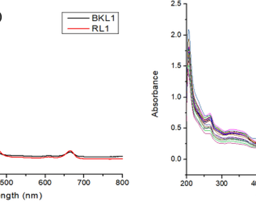 n                     Impatiens balsamina L. leaves, FTIR and UV–Vis spectroscopy, Chemometrics, Data fusion