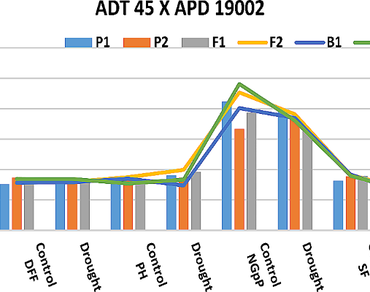 Rice, Gene action, Drought stress