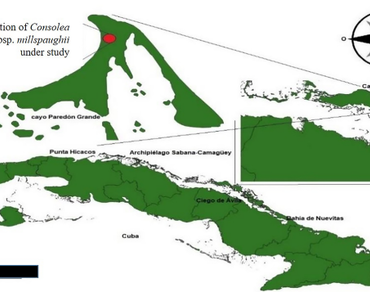 Cactus, Climate change, Diversity conservation, Island ecosystems, Soil salinization