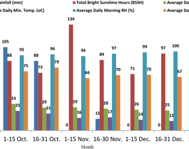 Effect of foliar applied gibberellin and salicylic acid on physiology and yield of black gram under delayed sowing condition in Assam