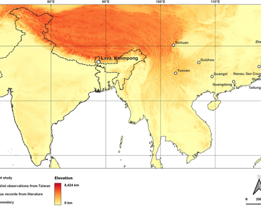 Rubus linearifoliolus (Rosaceae), a new record for India