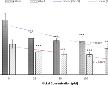 Nickel effects, Nickel–molybdenum interaction, Antioxidants, Wheat seedling, Nitric oxide
