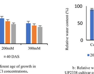 Wheat, Protein Profile, Osmoprotectant
