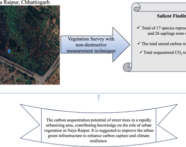 Urban street trees as carbon sink: a case study of Naya Raipur, Chhattisgarh