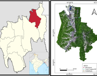 Tree diversity, Population structure, Natural regeneration, Forest ecosystem, Anthropogenic activity