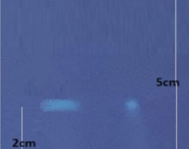 Aβ, Alzheimer’s disease, Berbericinine, Docking, Receptor-ligand, Interaction, In vitro, In silico