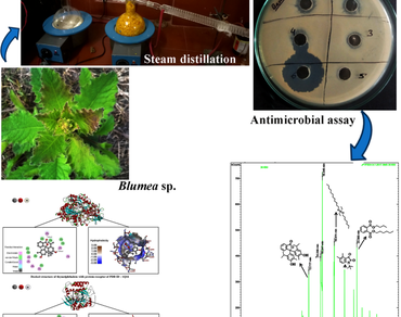 Antimicrobial activity, n                     Blumea spp., Essential oil, Steam distillation, Molecular docking