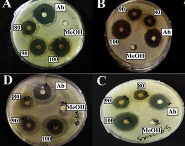 Antimicrobial activity, Medicinal plants, Phytochemical, Siloxanes, Traditional medicine