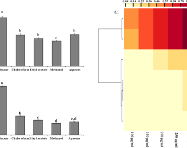 n                     Piper chaba stem, Antioxidant activity, Antidiabetic activity, Anti-inflammatory activity, Metabolomics