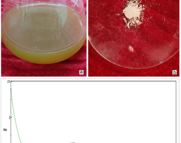 Phytogenic, Zinc oxide nanoparticles, n                     Aristolochia Krisagathran                  , Bioactive