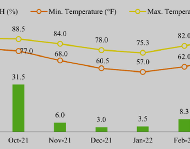 Study on genetic diversity and its relation to heterosis in eggplant hybrids for green, high yielding, fruit and shoot borer as well as bacterial wilt tolerant cultivars