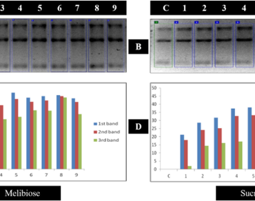 PCR enhancers, PCR additives, Enzyme stabilizing compounds, Novel PCR enhancer, Sugars and Sugar alcohols