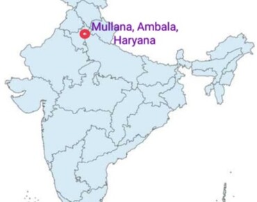 Chicken meat, Food-borne illness, MALDI-TOF MS, Pathogenic bacteria