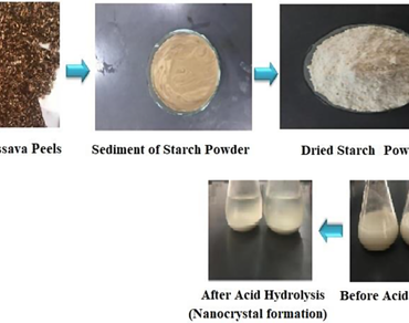 Starch nanocrystals from cassava peel and their use as carrier system for quercetin