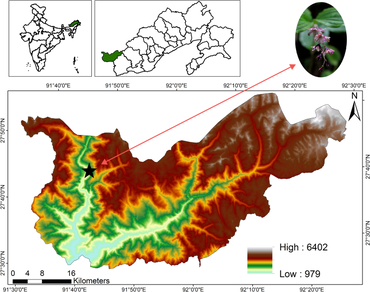 Maianthemum atropurpureum (Franch.) LaFrankie (Asparagaceae): an addition to the flora of India from Eastern Himalaya of Arunachal Pradesh