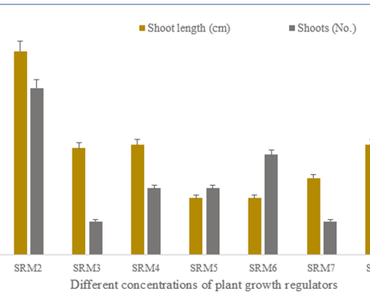 In vitro induction and plant regeneration in potato (Solanum tuberosum L.) cv. Kufri Sangam
