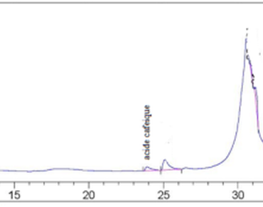 Stachys ocymastrum, Phytochemical screening, Cytotoxic and antimicrobial activities