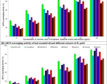 Phytochemical composition and pharmaceutical activities of leaf essential oil and extracts of Hypericum gaitii Haines: a threatened medicinal plant of India