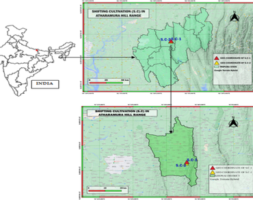 Crop diversity, soil quality and traditional management practices in a young aged shifting cultivation land of Tripura, Northeast India