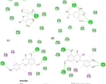 Phlogacanthus thyrsiflorus, Methanolic flower extract, Alloxan, Hyperglycemia, Oxidative stress, Apoptosis