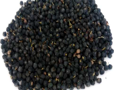 n                     Phillyrea angustifolian                  , Fruits, Fatty acids, Minor compounds, And antioxidant activity