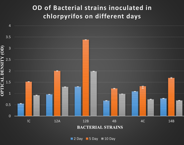 Pesticide, Chlorpyriphos, Bacteria, Degradation, Isolation