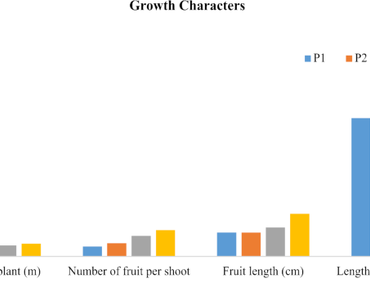 Fruit quality, Pruning, Pruning intensities, Quality attributes, Yield