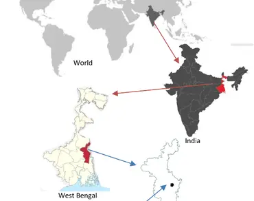 Genetic diversity, Germplasm, The common guava, Polymorphism, SSR
