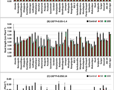 Chlorophyll fluorescence, Indigenous Niger, Principal component analysis, Drought tolerant index
