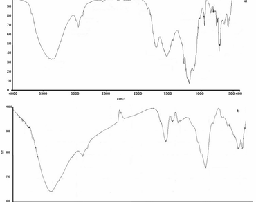 Antifungal potential of seaweed polysaccharide and its nanoparticles against soil borne pathogens of tomato