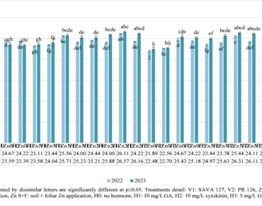 Plant growth regulators, Rice, Yield enhancement, Zinc application methods