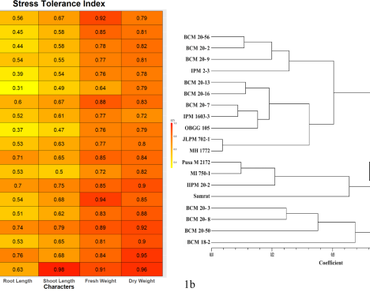 Germination %, Salt tolerance index, Antioxidative enzymes, Salinity, Mungbean