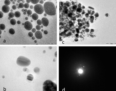 n                     Arnebia benthamiin                  , Nanoparticles, Antioxidant activity, Elicitors, Shikonin, Callus