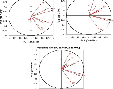 n                     Triticum aestivum L., Variability, Kurtosis, Heritability, Genetic advance, Correlation, PCA